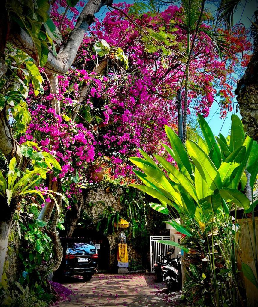 Exquisite Private Villa — Villa Sekala, Sanur, Se Bali ภายนอก รูปภาพ